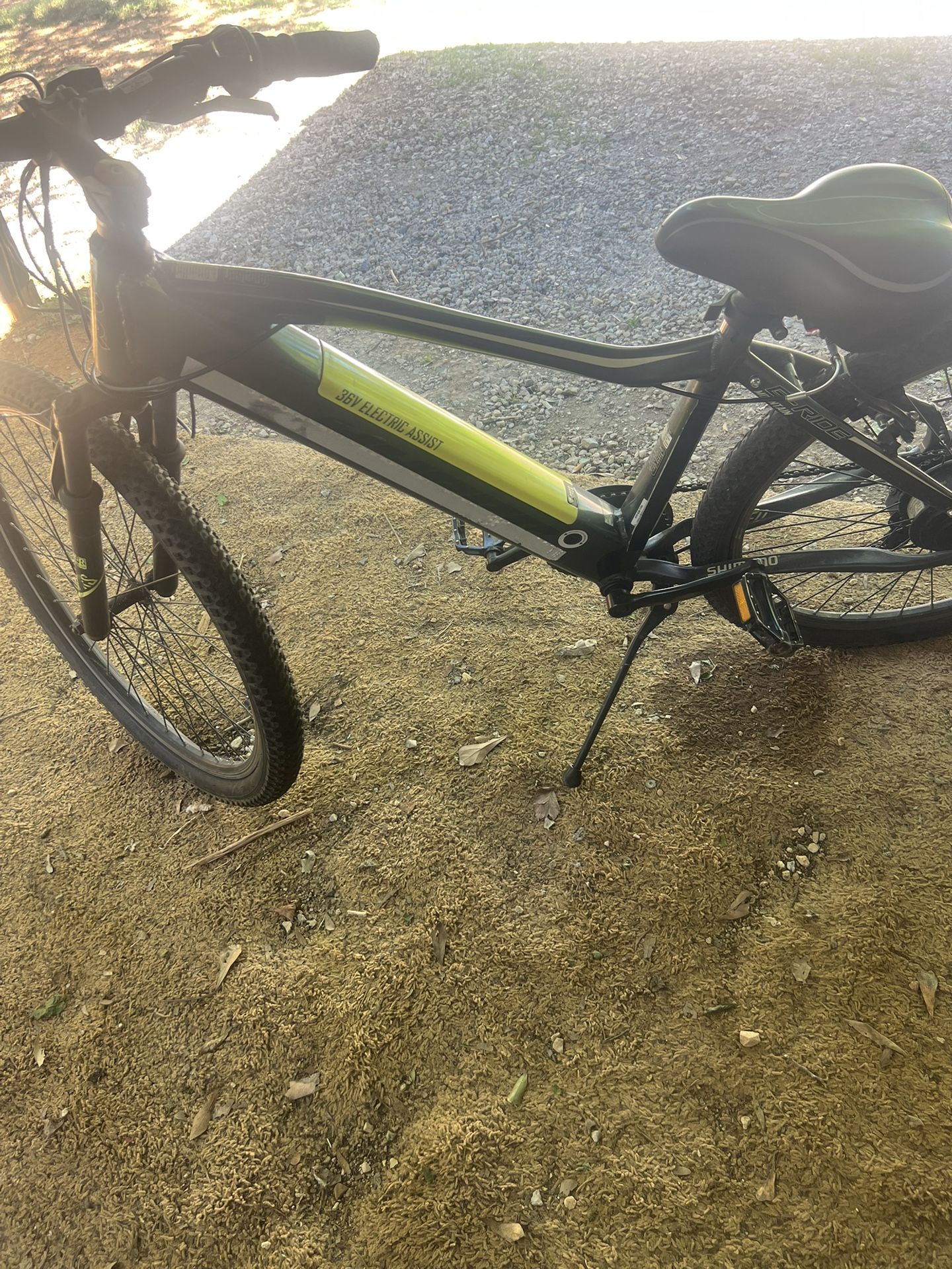 Electric Bike