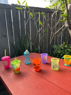 Sippy Cups and Kids Cups