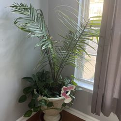 Real Plants