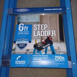 Werner 6 Ft Ladder Fiberglass New