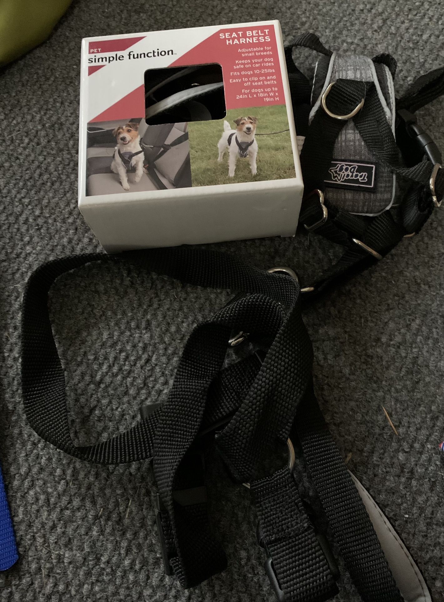 Dog Seat Belt & Leashes