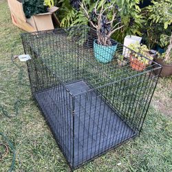 XL DOG kennel