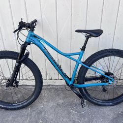 Specialized RUZE 6 Fattie