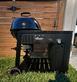 Members Mark charcoal with gas assist