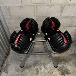 Bowflex Dial Adjustable 52.5 Lb Dumbbells With Stand