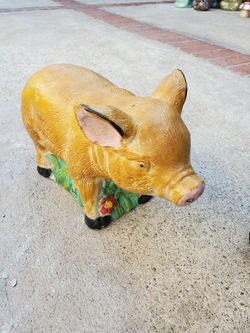 Pig for sale
