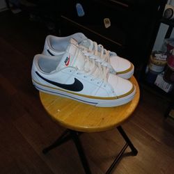 Size 10 Nike Sb Shoes
