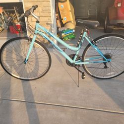 Roadmaster Mountain Bike