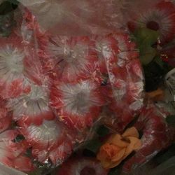 Free, flowers. , clean out!