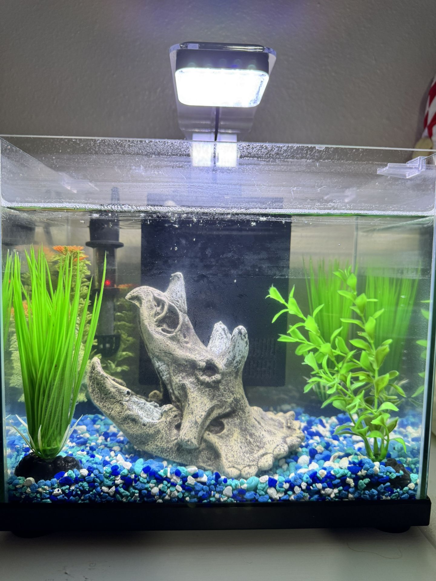 Gallon Aquarium/Fish Tank