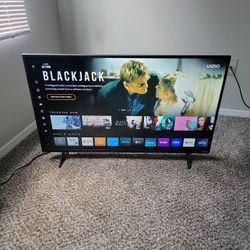 Brand New 40 Inch Vizio T.V.