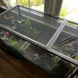 Large Terrarium Setup – Fully Equipped for Reptiles 