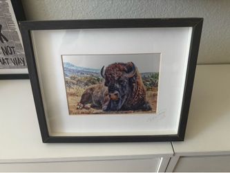 Catalina Buffalo Picture