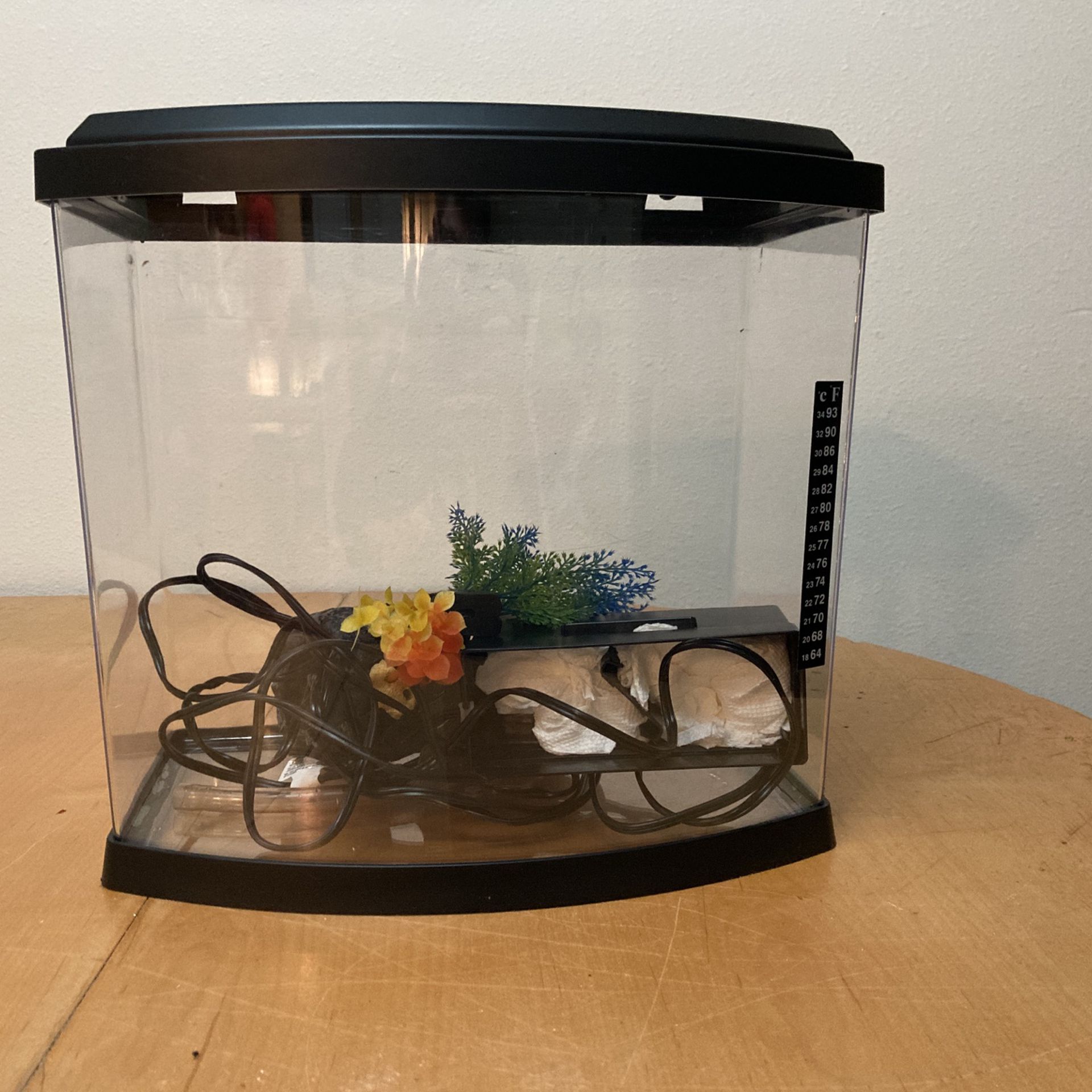5 Gallon Fish Tank WYSIWIG With COVID Supplies