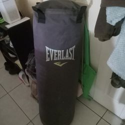 Like New Everlast Punching Bag