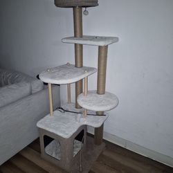 Cat Tree
