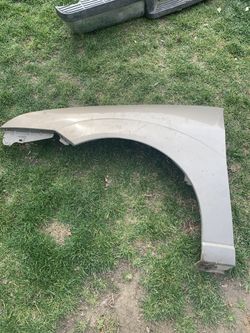 Ford Focus fender