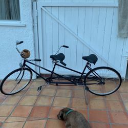 1973 Schiwnn De Luxe Twin Tandem Bike