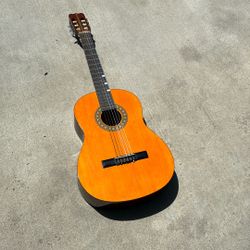 Guitar 