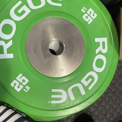 ROGUE COLOR TRAINING PLATES and BARBELL