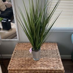 Flower Decor 