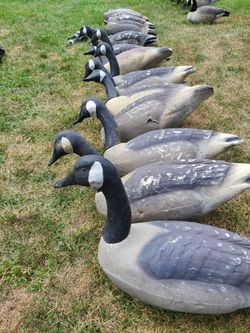 Goose Decoys Herters Model 499 Fullbody Decoys