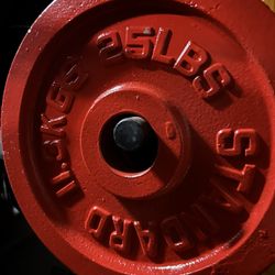 Two 25 Lbs Olympic Plates With Curl Bar