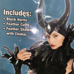 Malfecient Halloween Costume
