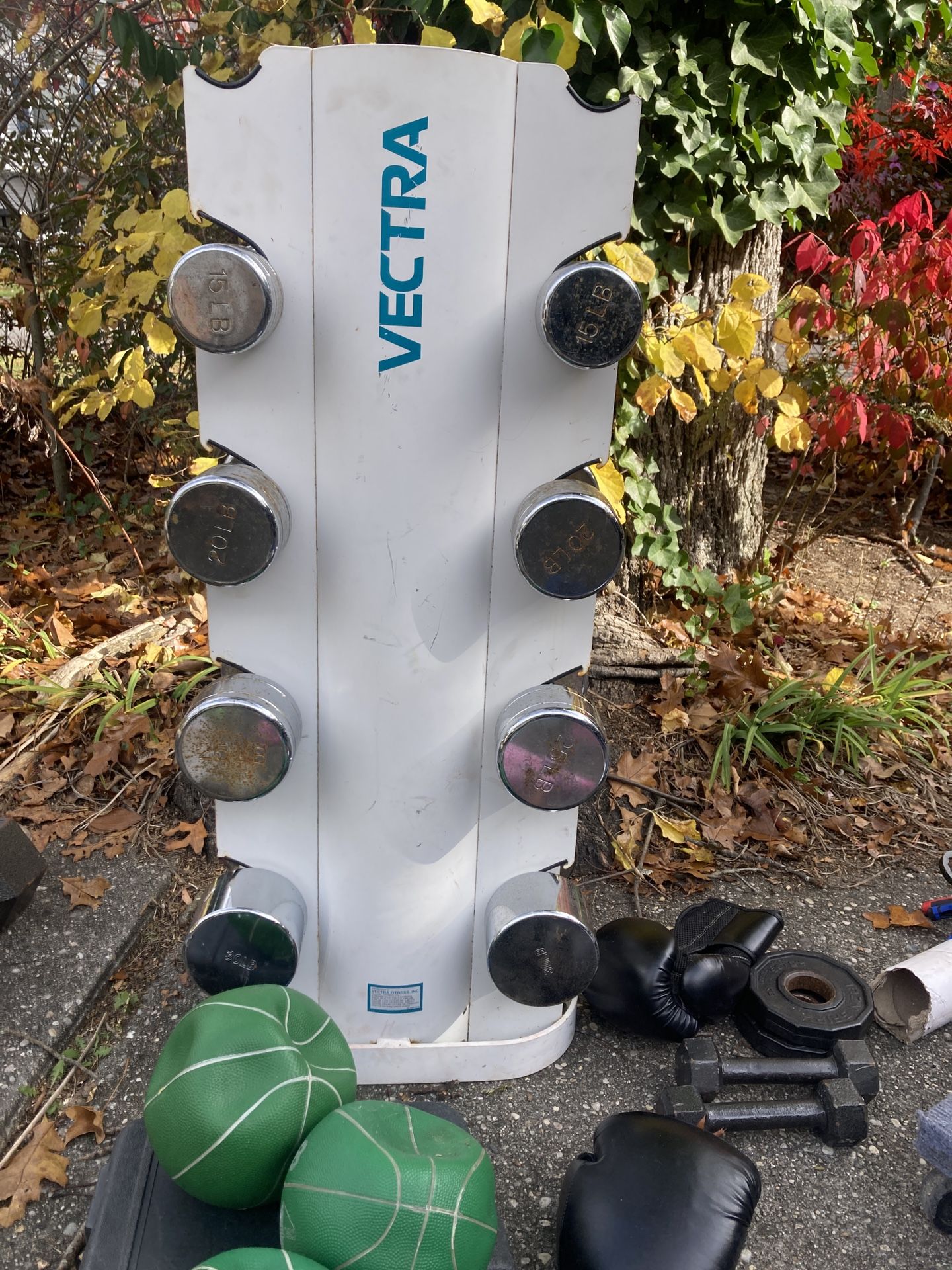 Set Of Chrome Dumbbells With Vertical Rack - 15 Lbs To 30 Lbs