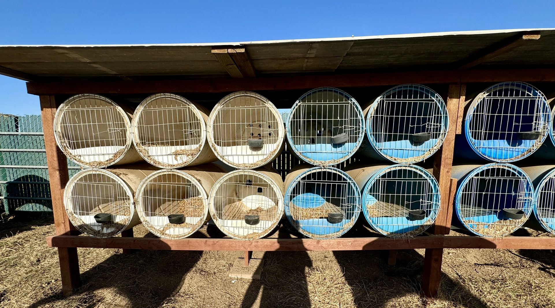 Cages