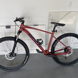 Giant large 2024 frame size