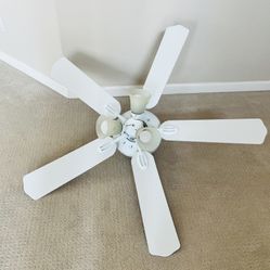 Ceiling Fan W Light 