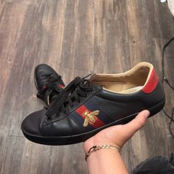 gucci ace 
