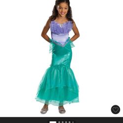 Little Mermaid Costume