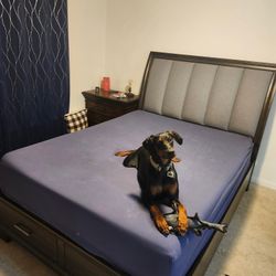 Queen Bed And Frame