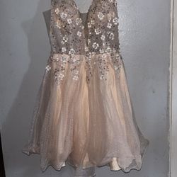 Light Pink Blossom Dress 