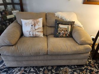 2 cushion love seat/sofa