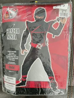 Stealth Ninja