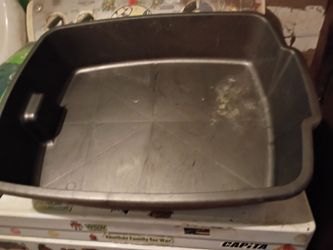 Cat box