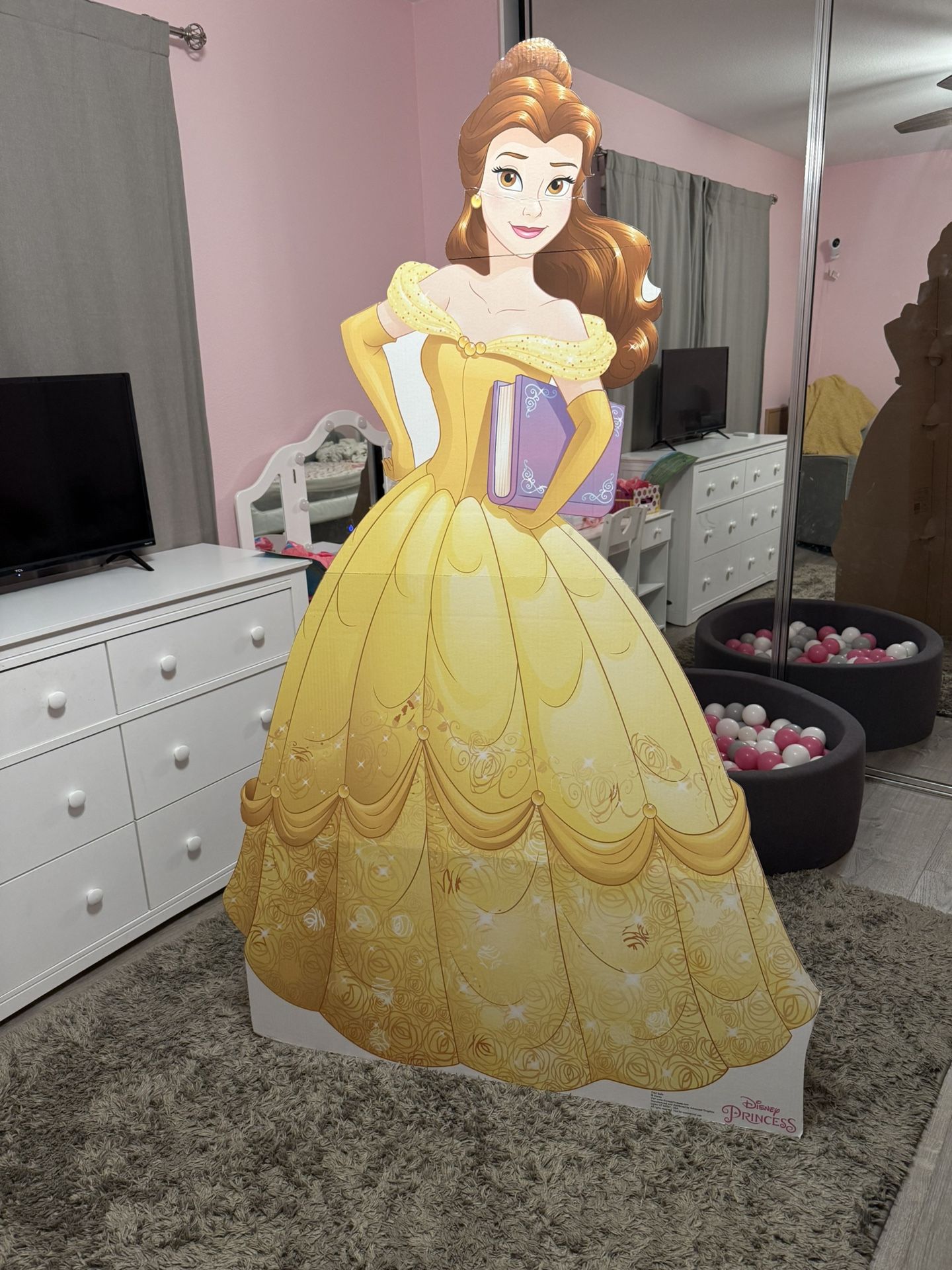 Disney Princess Party Decor 