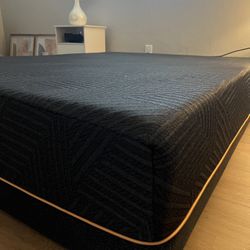 Brand New EGOHome Mattress 