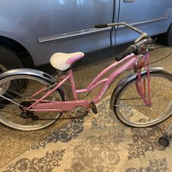 Schwinn Cruiser