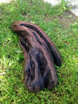 Driftwood For Aquariums Terrariums Decor