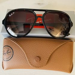 New Ray Ban Cats