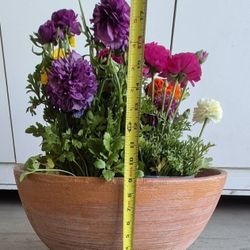 ROUND   SEALED  DISH  DEEP  TERRCOTTA   POT