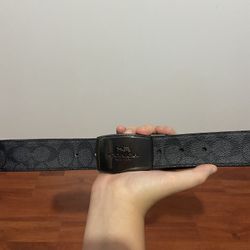 Coach belt