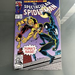 Spectacular Spider-Man #191