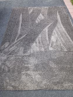 10x7 shag carpet