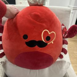 Valentines Squishmallows 