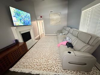 Living Room carpet